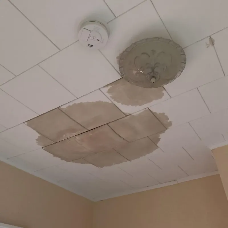Ceiling Water Damage Repair in Haywood County, TN