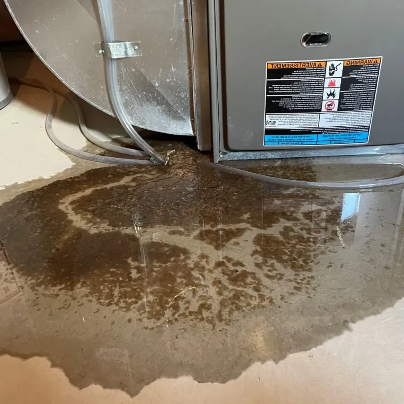 Pipe Burst and Leak Restoration in Haywood County, TN
