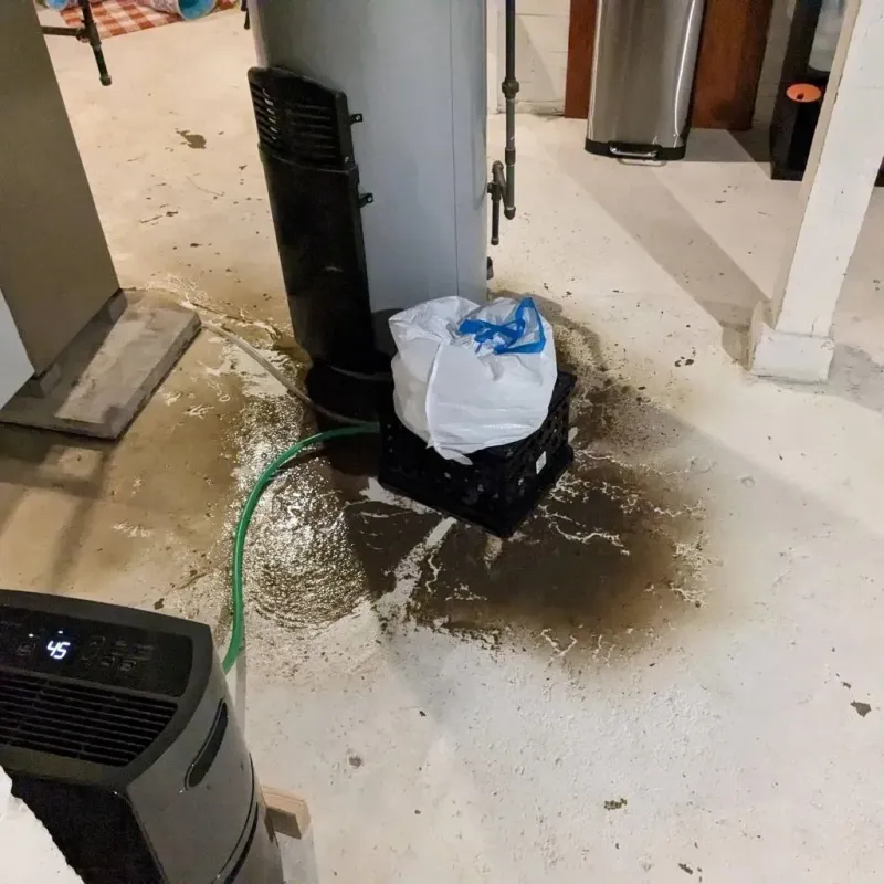 Sewage Backup Cleanup Service in Haywood County, TN